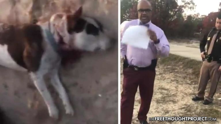 WATCH: Cops Kill Family's Dog in Front of Kids, Force Dad to Cut Its Head Off Or Go To Jail