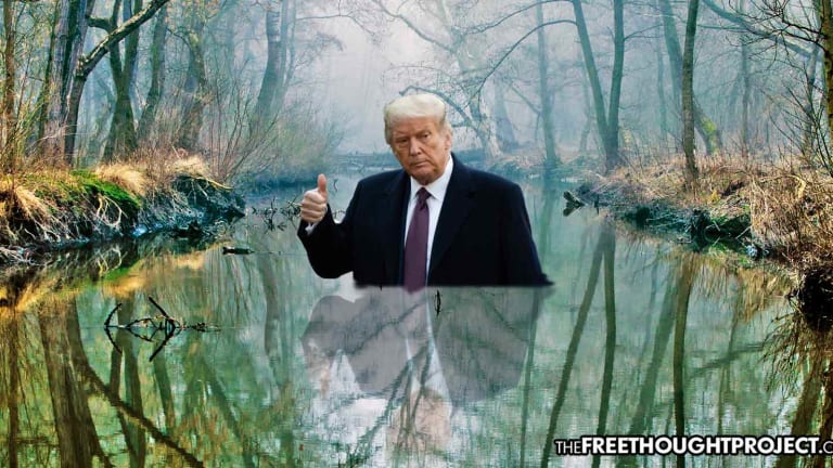 By Signing the COVID 'Relief' Bill, Trump Proves He's Been Part of the Swamp All Along
