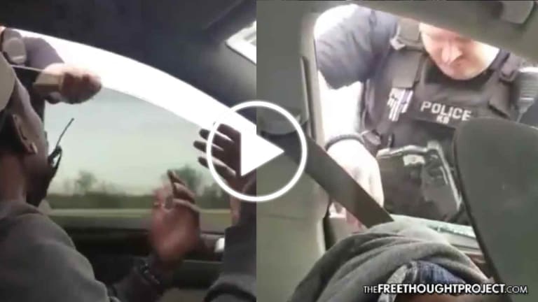 WATCH: Cop Snaps, Shatters Man's Car Window With His Bare Hands 'For No Reason'