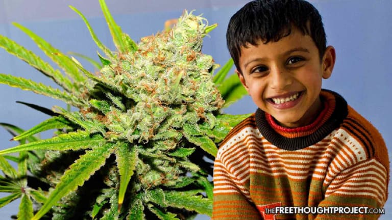 First of Its Kind Study Finds Cannabis May Be a "Miracle" Treatment for Autistic Kids
