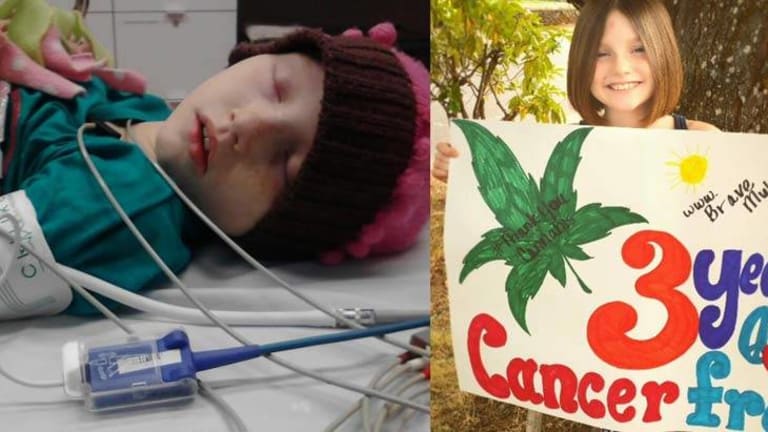 Only Six Days After Starting Cannabis Oil, This Little Girl's Leukemia Went into Remission