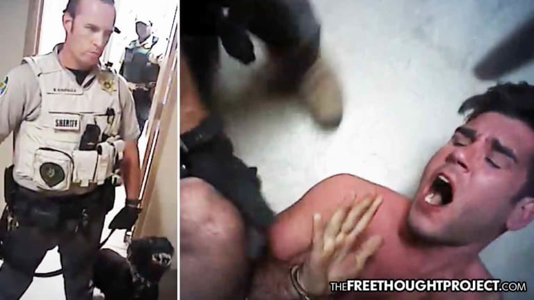 Dept Secretly Clears Cops Who Tortured a Handcuffed Man with K-9 for 3 Minutes on Video