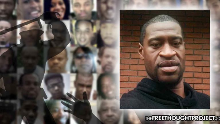 Their Lives Mattered Too: Before George Floyd, Cops Killed 400 Others in First 5 Months of 2020