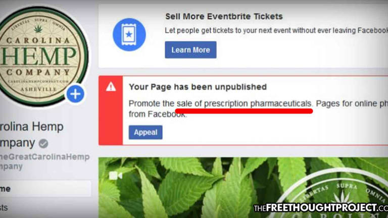 As Hemp Legalized, Facebook Now Banning Hemp Pages in Apparent Move to Protect Big Pharma