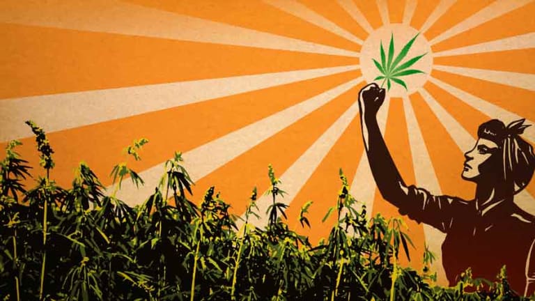 Nevada Disobeys the Feds, Passes Revolutionary Law to Grow Commercial Hemp
