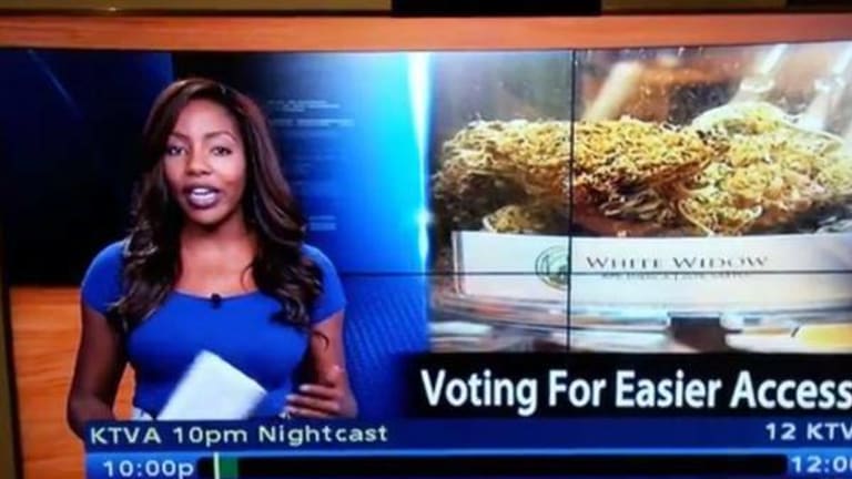"F**k It, I quit." News Anchor Quits On Air to Draw Attention to Marijuana Prohibition