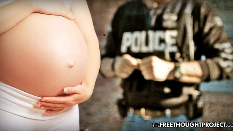 Cop Arrested and Fired for Kicking an 8-month Pregnant Woman in the Stomach
