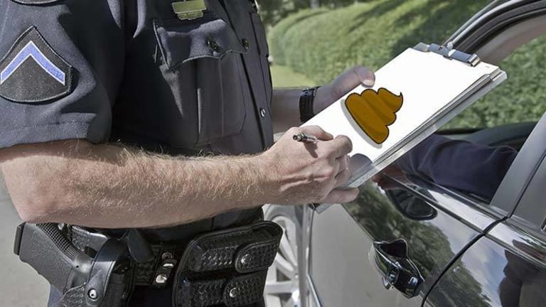 Court Rules Police Can Legally Make Up Lies to Pull People Over to Fish for Criminal Behavior