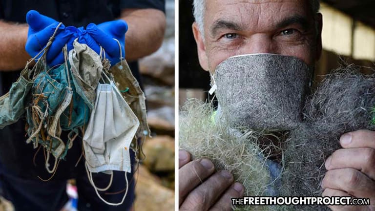 As COVID PPE Waste Litters the World, Company Makes Biodegradable Hemp Masks