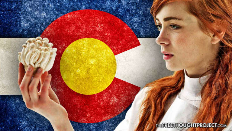After Legal Weed, Colorado Now Taking Steps to Legalize Magic Mushrooms