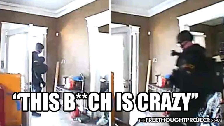 WATCH: Innocent Woman Didn't Let Cops See Her Ring Video, So They Raided Her Home, Mocked Her