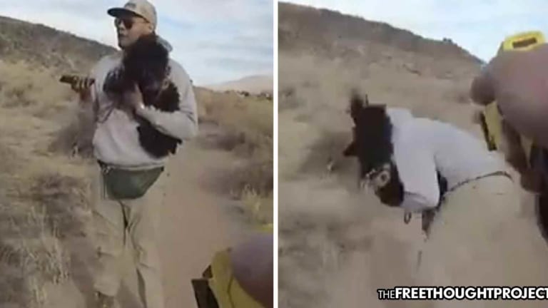 Cop Tasers Indigenous Man and His Dog as He Attempted to Pray on Sacred Land