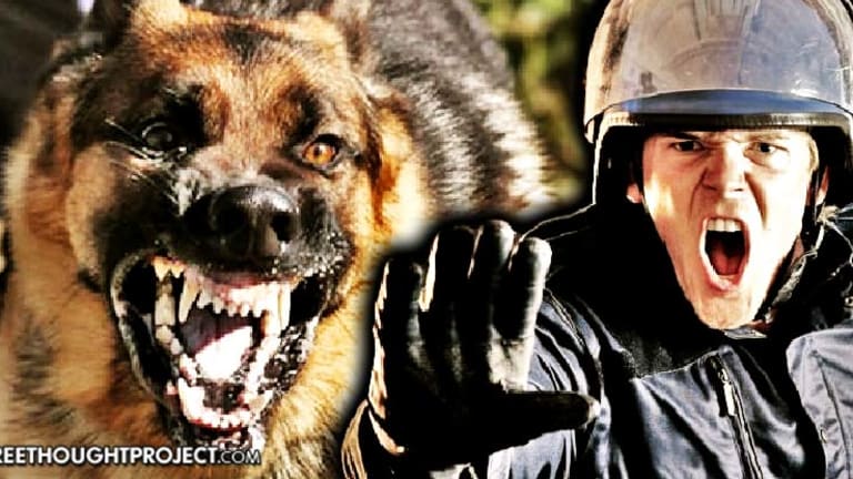 Horrifying Precedent — Court Rules Cops Can Allow Dogs to Maul Innocent People