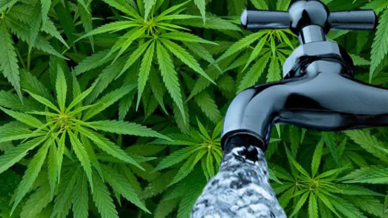Cops Use Faulty Test Kits to Incite Fear about THC in Water Supply -- Scientists Say It's Impossible