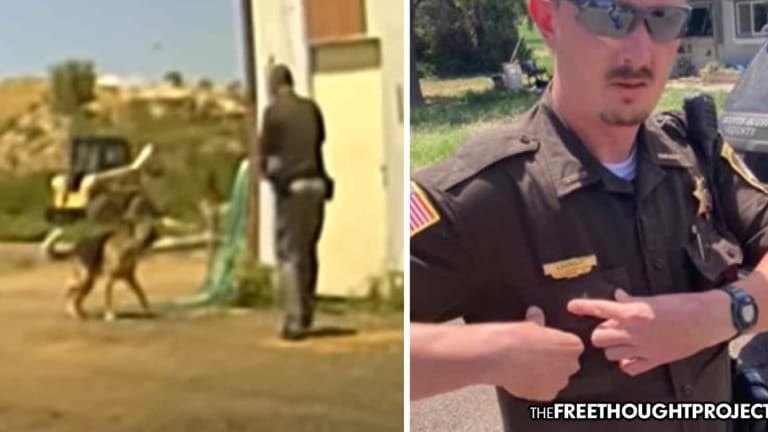 WATCH: Cop Goes onto Man's Property, Kills Dog as it Walks Up to Him, Tail Wagging