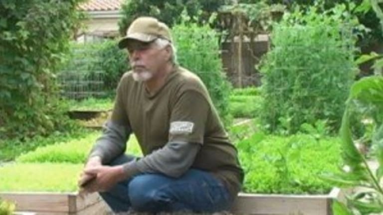 Urban Homesteaders Produce 6,000 Pounds of Food on 1/10 Acre