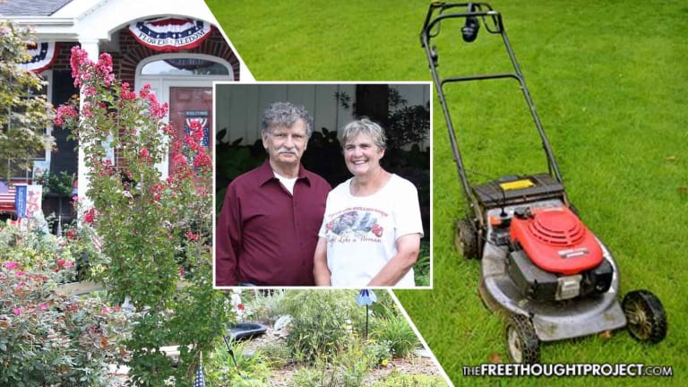 City Forces Elderly Homeowner To Replace Garden with Grass Lawn Even Though She's Allergic To It