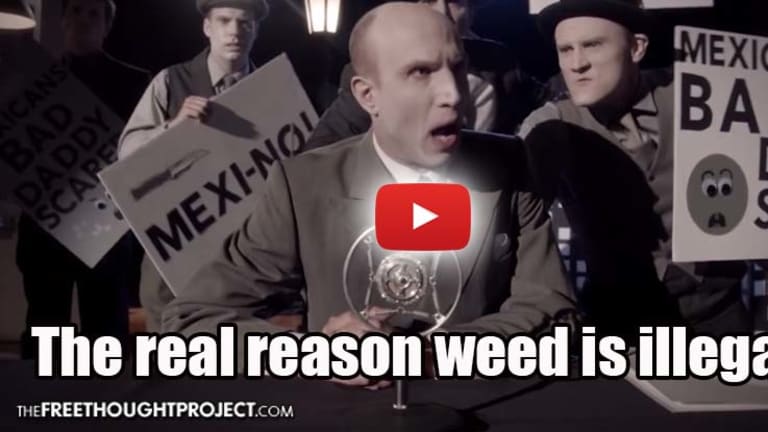 'Adam Ruins Everying' Video Uses Humor to Expose the Drug War for the Racist Tyranny It Is
