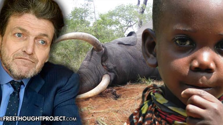 Rothschilds Forcing Native Pygmies Off Their Own Land So the Elite Can Slaughter Elephants