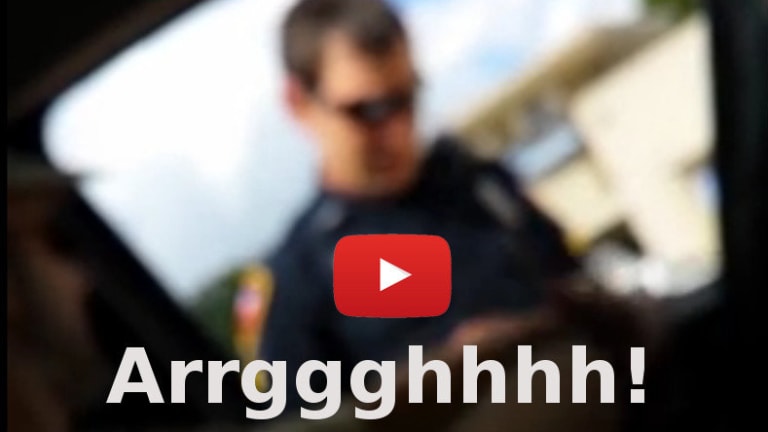 Traffic Stop Turns into Hilarious Comedy Skit as Driver Channels a Pirate