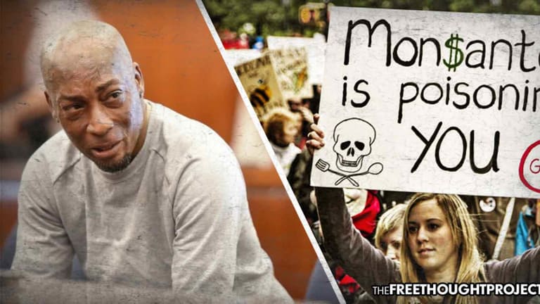 The Landmark Monsanto Verdict May Not Have Been Possible Without Activism and Alternative Media