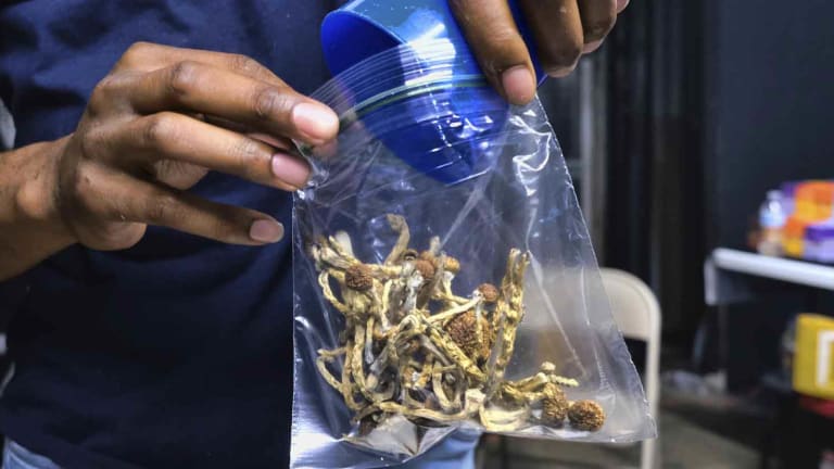 In Canada, You Can Now Buy Magic Mushrooms From a Dispensary