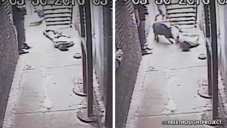 Cop Pleads Guilty After Gruesome Video Catches Him Sic K9 on Subdued Man