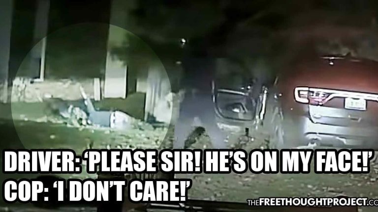 WATCH: Cop Arrested For Forcing K-9 to Maul Unarmed Man's Entire Body for FOUR Minutes
