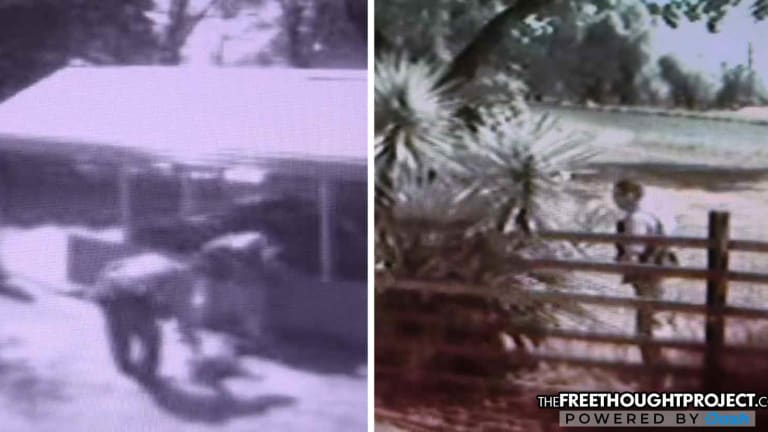 WATCH: Cops Break Into Innocent Man's Yard, Kill His Dog, Steal His Body, Then Urinate On His Plants