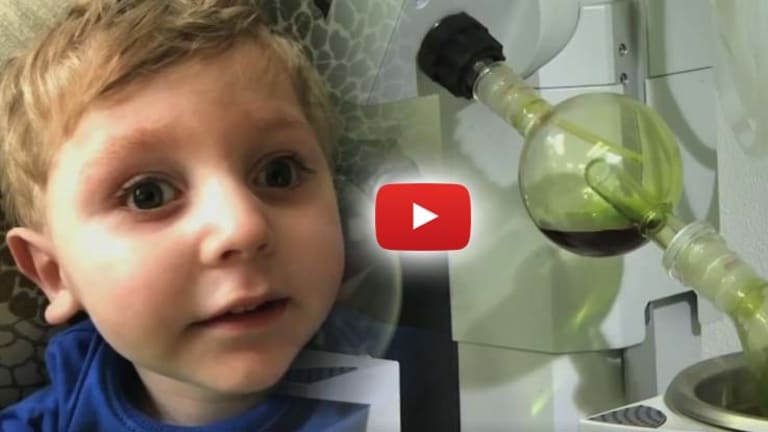 In Under 4 Minutes, Video Exposes Vile Nature of DEA Classifying CBD Oil as Schedule 1