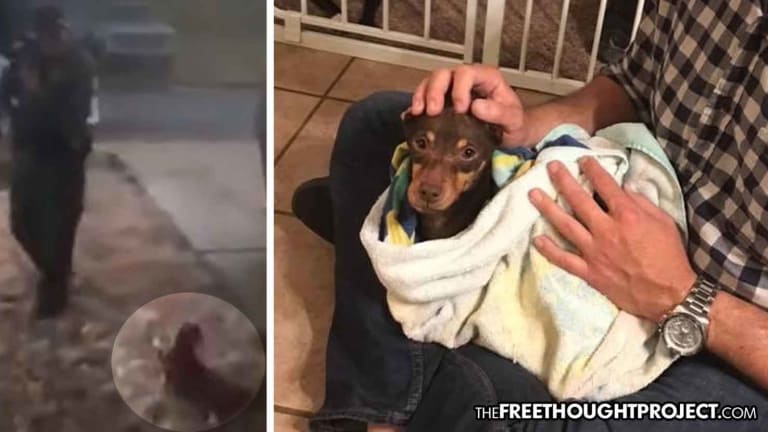 In Rare Move, Cop Charged After Video Showed Him Shoot a Tiny Chihuahua