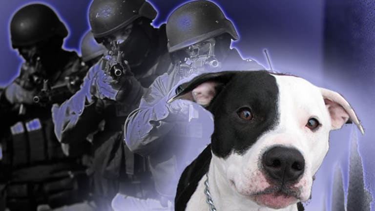 This One Police Department Shot 92 Dogs in Three Years. One of the Officers Has Killed 25 By Himself