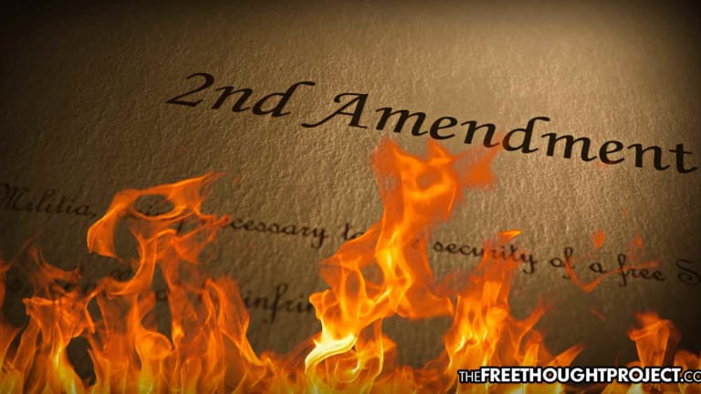 US Congressman Warns of Political Conspiracy to Overturn the 2nd Amendment In Its Entirety