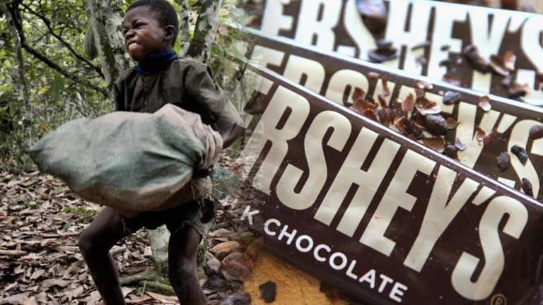 The Chocolates You Love So Much, Come with a Harsh Price - Child Slave Labor