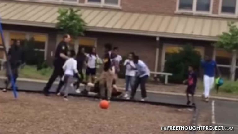 Dramatic Video Shows Cops Beating Children at Elementary School Playground