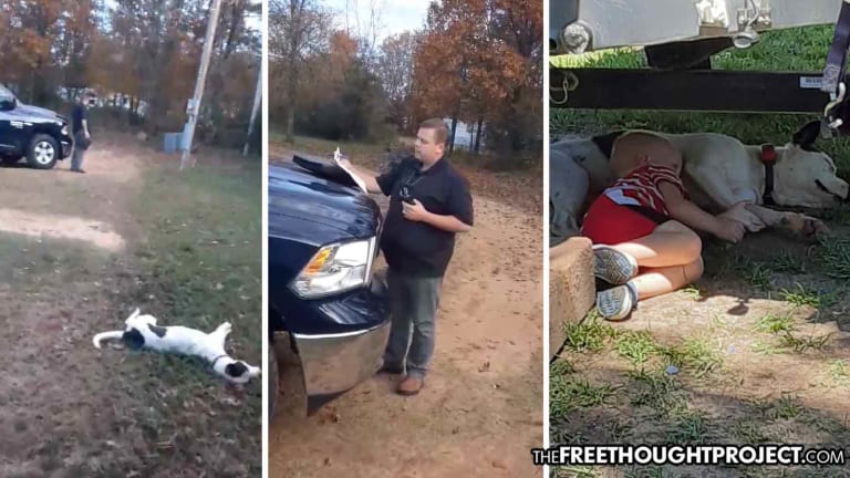 Cop Trespasses on Innocent Family's Property, Kills Their Beloved Dog for Barking at Him