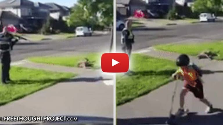 Disturbing Video Shows Cop Kill a Kangaroo Just as a Small Child Rides By on Scooter