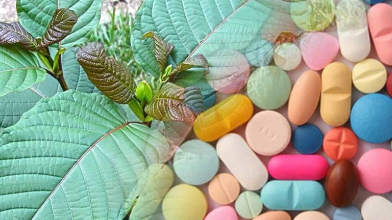 Big Pharma's Patents on Kratom Alkaloids Expose Real Reason DEA is Banning this Plant