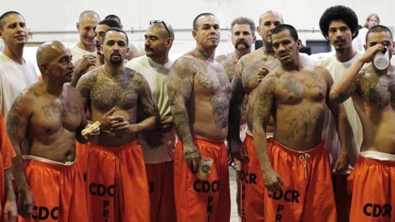 New Study Exposes US Prison System as an Epic Failure and a Factory for Creating Criminals