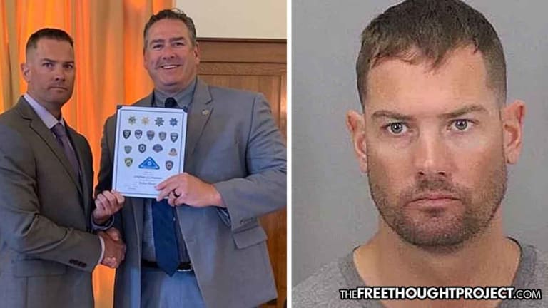 College Student Went Undercover to Catch Pedophiles and Nabbed a Decorated Cop