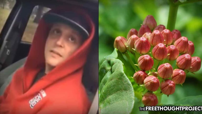 WATCH: Man Owns Undercover Cop Trying to Bust Him for Weed, Sells Him Flowers Instead of Pot