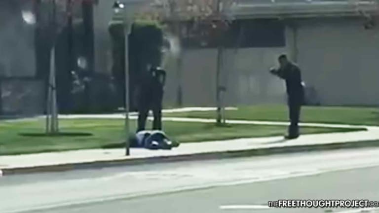 Graphic Video Catches Moment Police Kill Man After He Tried Running Away