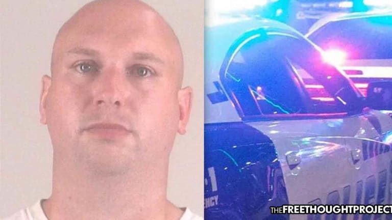 High Level Cop Arrested for Using City Network, Google to Run Child Porn Ring While On Duty