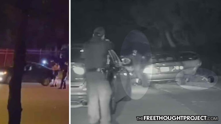 'My Baby!'—Cops Shoot Mom, Kill Dad With Baby in Back Seat During Road Rage Incident