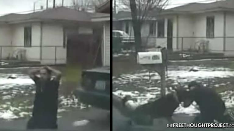 Horrifying Video Shows Cops Force K9 to Maul Surrendering Man