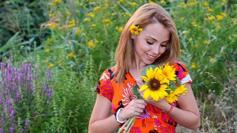 Maryland Police Ban Tourists from Taking Roadside Pictures With Sunflowers