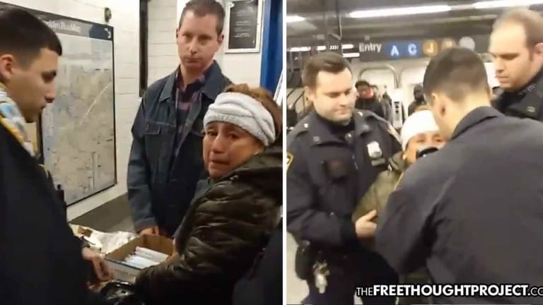 Infuriating Video Shows Cops Swarm Woman, Kidnap Her for Selling Churros