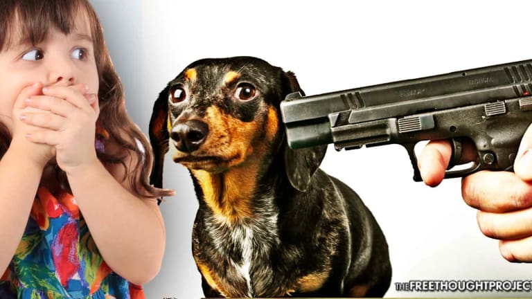 Cop Fired for Shooting 9yo Girl in the Head As He Tried to Kill Her Dog in a Room Full of Kids