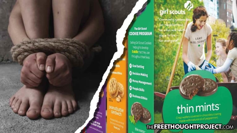 Shocking Report Links Girl Scout Cookies to Child Sex Trafficking and Slave Labor