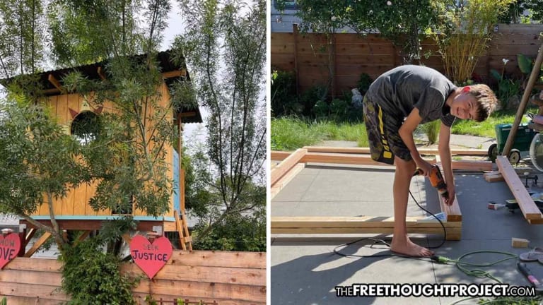 Gov't Threatening to Go After Family for Child's Tree House, Built on Their Own Property